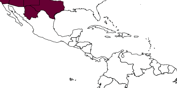map of Agathirsia testacea     Muesebeck, 1927